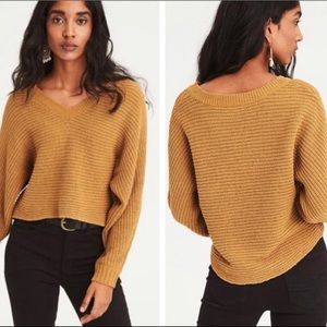 American Eagle Chenille V-Neck Sweater